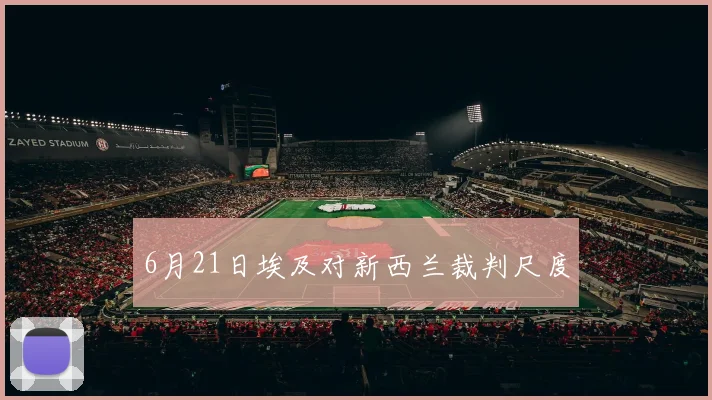 6月21日埃及对新西兰裁判尺度