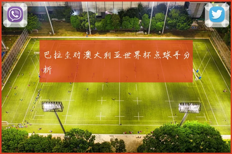 巴拉圭对澳大利亚世界杯点球手分析