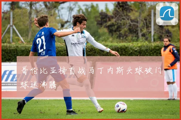 哥伦比亚榜首战马丁内斯头球破门球迷沸腾