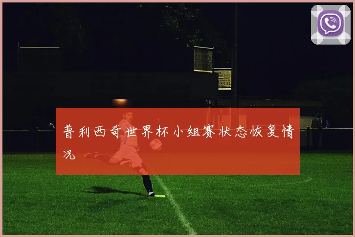 普利西奇世界杯小组赛状态恢复情况