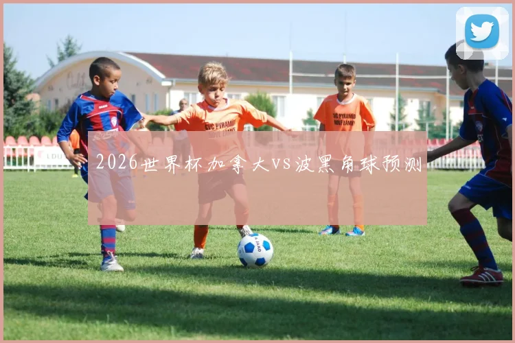 2026世界杯加拿大vs波黑角球预测